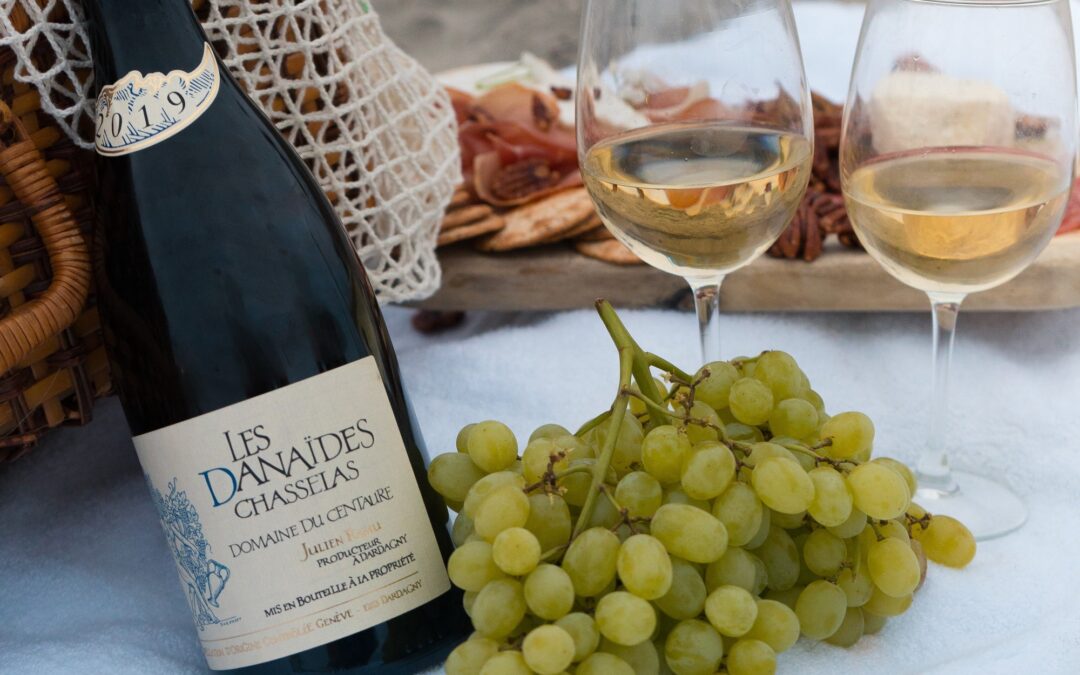 Savoring Swiss Excellence:A Perfect Pairing of Raclette, Fondue, and DDI Wines